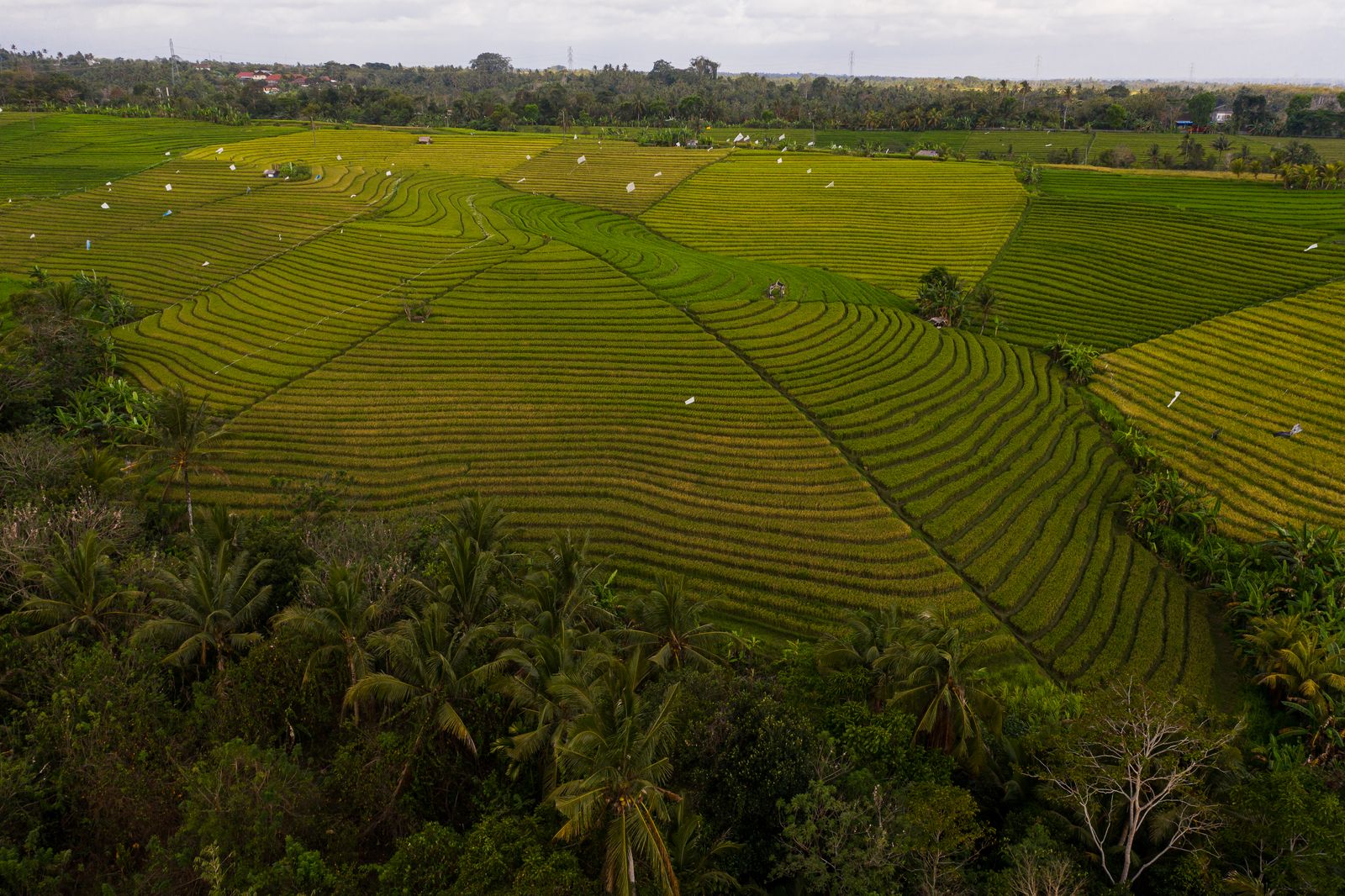 Farmland managed with remote automation