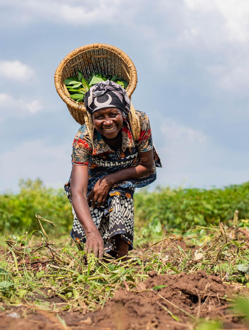 Member of the Agritech Advisors team